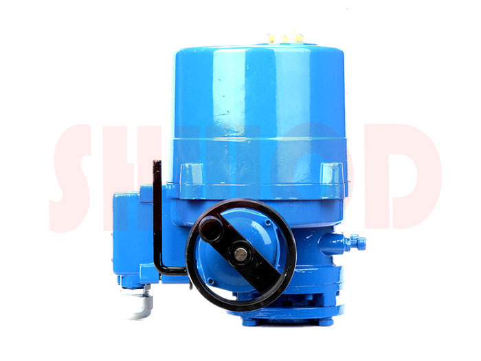電動執(zhí)行器