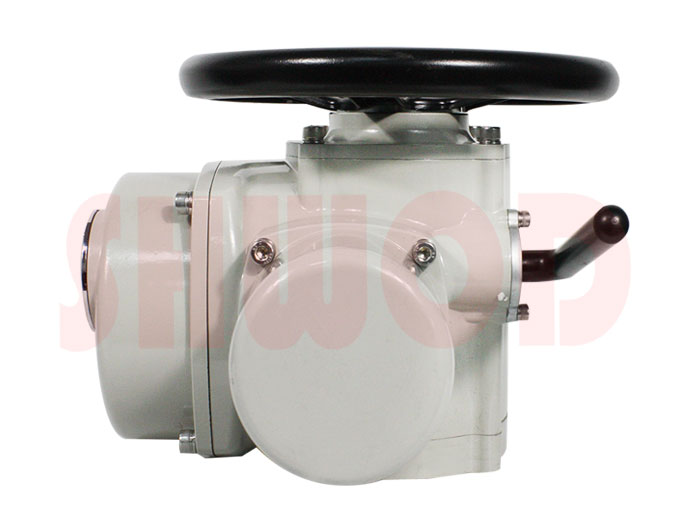 電動執(zhí)行器